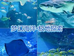 -泉城欧乐堡海洋极地世界