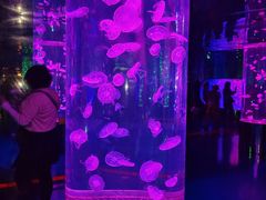 -西双版纳原始森林公园
