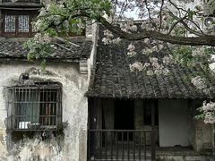 -乌镇景区