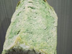 乳酪包抹茶味-托斯卡纳烘焙意大利餐厅(五天地店)