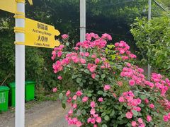 -杭州屏风山越野车营地·团建别墅轰趴民宿