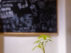 -沏点Trattoria意大利餐厅(新街口店)