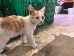 -四川大学(华西校区)