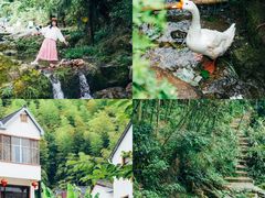 -山沟沟景区