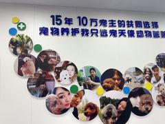 -天使宠物医院·犬猫分诊(彩虹店)