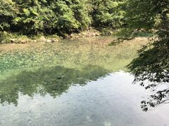 -祁门牯牛降观音堂风景区