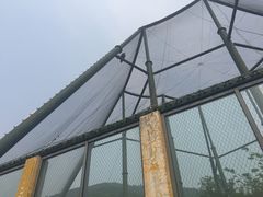 -无锡动物园·太湖欢乐园