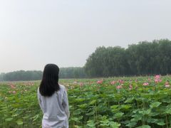 -东郊湿地公园