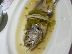 清蒸鲥鱼-宝燕壹号(徐汇店)
