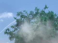 -西双版纳傣族园