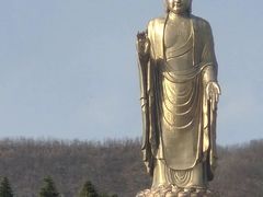 -中原大佛景区