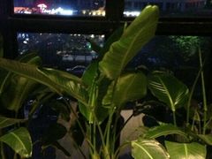 -CLASS国际公馆诺伯曼超越运动会馆