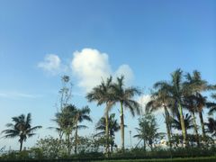 IMG_1102-情侣路