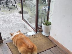 -肥朵食堂(带梦胡同店)