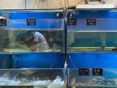 -福建美食城(老君堂店)