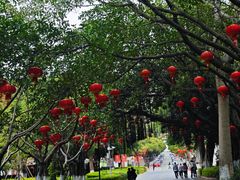-厦门大学(思明校区)