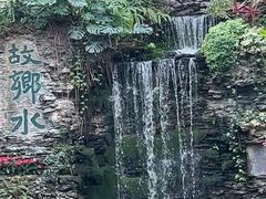 -白天鹅宾馆-宏图府餐厅