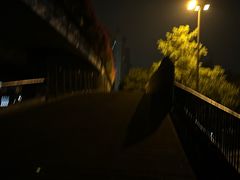 -坑口(地铁站)