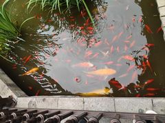 -聚缘堂·海鲜私房菜(松岭路店)