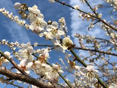 -广州市流溪河国家森林公园