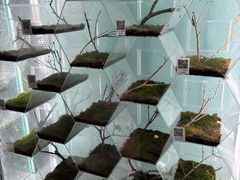 -上海大自然野生昆虫馆(东方明珠·爬宠昆虫探索中心)