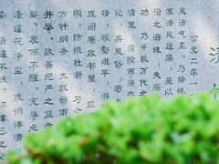 -晓港公园