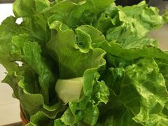 -二子炭火烤肉(五金城店)