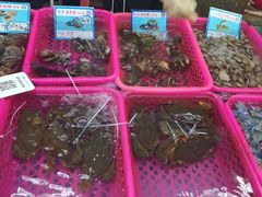 -春园海鲜广场D区6号(钟姐海鲜加工店)