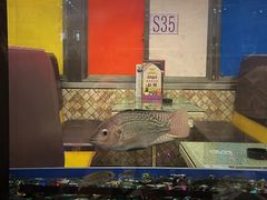 水产区-新辉港式茶餐厅(北栅店)