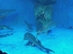 -多彩贵州城极地海洋世界