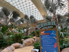 -杭州开元森泊度假乐园