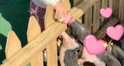 -萌宠亲子动物乐园(槐房万达店)