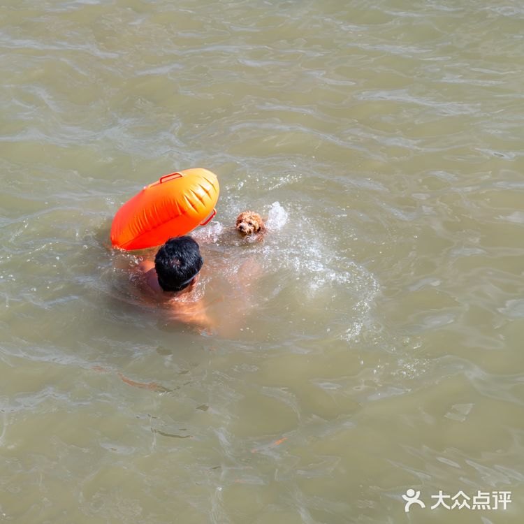 龙王庙，大武汉曾经的命门。