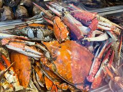 -老号尤兔头(幸福店)