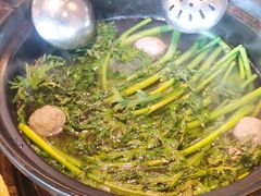-同仁四季椰子鸡(海岸城天利店)