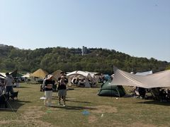 -羊山湖公园
