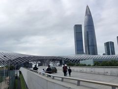 -港龙舞蹈·成人少儿舞蹈培训(深圳湾校区)