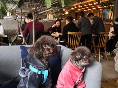 -the rug 飞毯 (朝阳公园店)