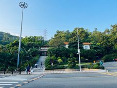 -深圳仙湖植物园