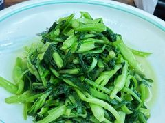 -小小饭店·休闲农庄·安吉松树林里的农家菜
