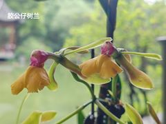 -云溪植物园