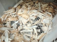 -江川野生菌火锅铜锅鱼(贵清火锅店)