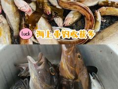 -大长山岛
