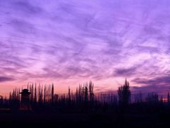 -比亚森自助烤肉料理(裕华店)