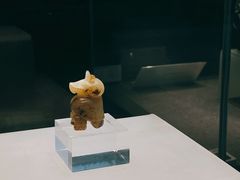 -平原博物院