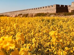 -商丘古城-应天书院