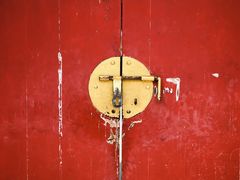 -塔尔寺-菩提树