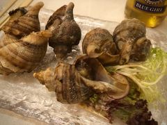 盐烤海螺-白仁仔· 活烤海鲜 宵夜(豫园店)