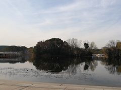 -新江湾城公园