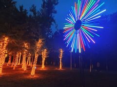 -长白岛森林公园